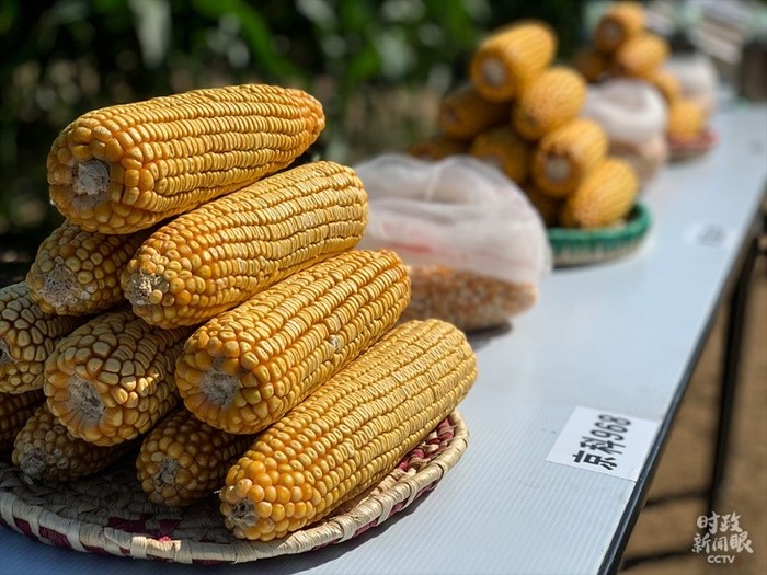 �Ϥ��q�{���D_fororder_���ɦ�