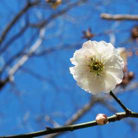 문화기행_fororder_webwxgetmsgimg (8)