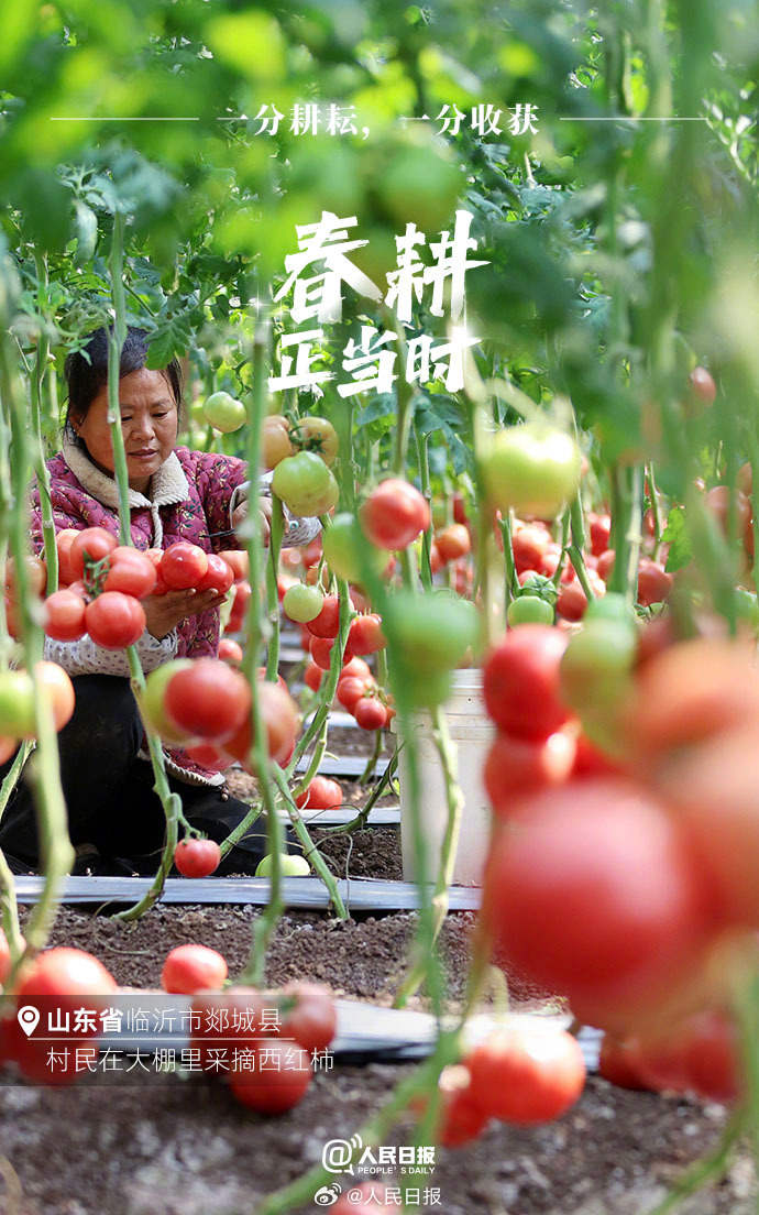 不負春光！各地陸續進入春耕時節
