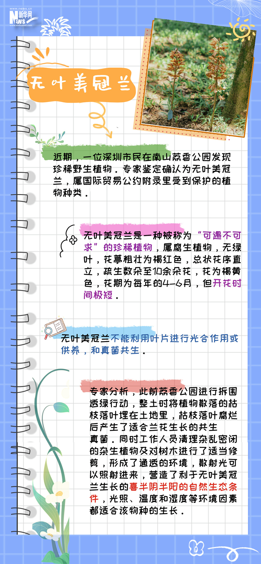 這本植物手冊裏藏的都是“限量款”