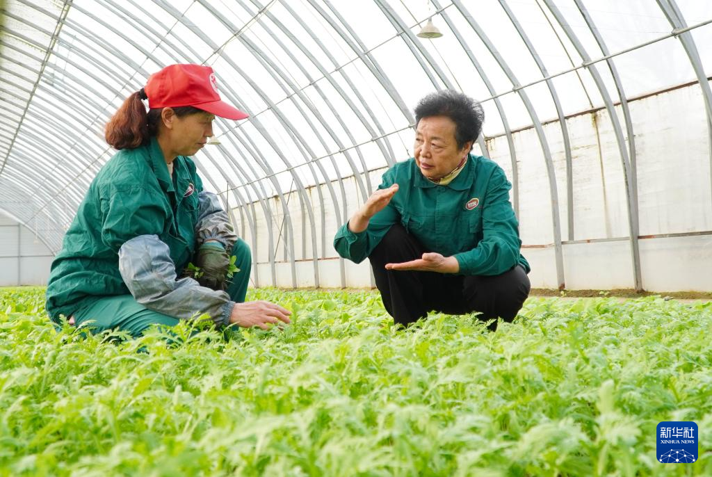 總書記的囑託激勵我們一路向前——來自全國兩會代表委員的心聲