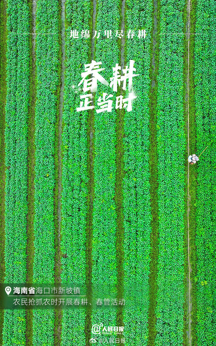 不負春光！各地陸續進入春耕時節