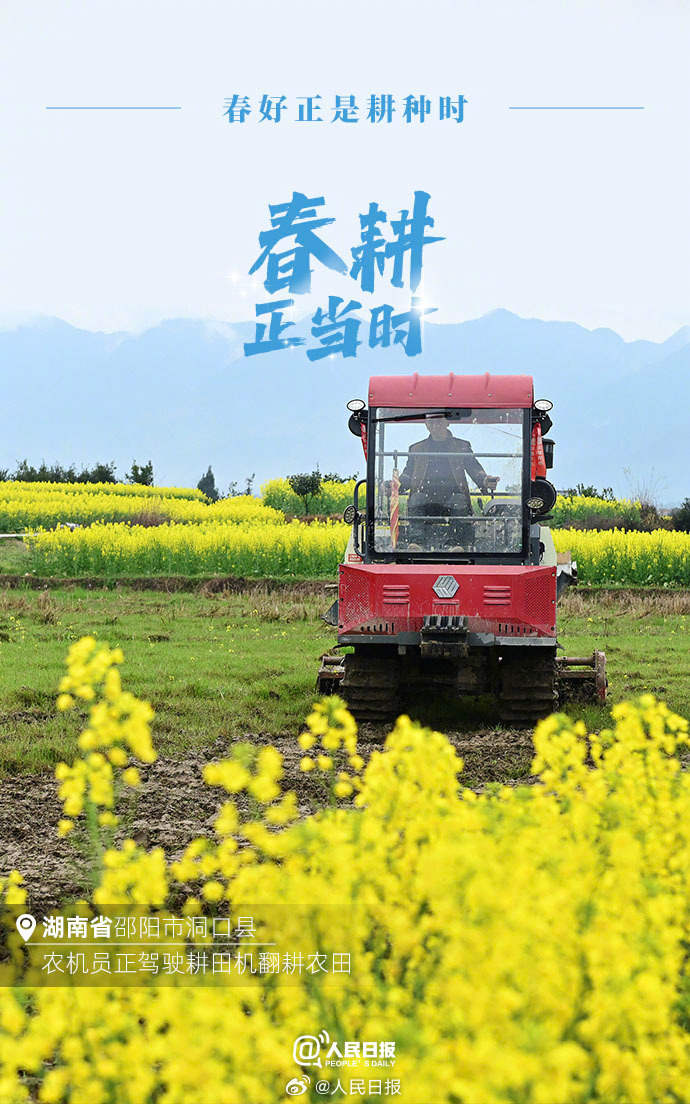不負春光！各地陸續進入春耕時節