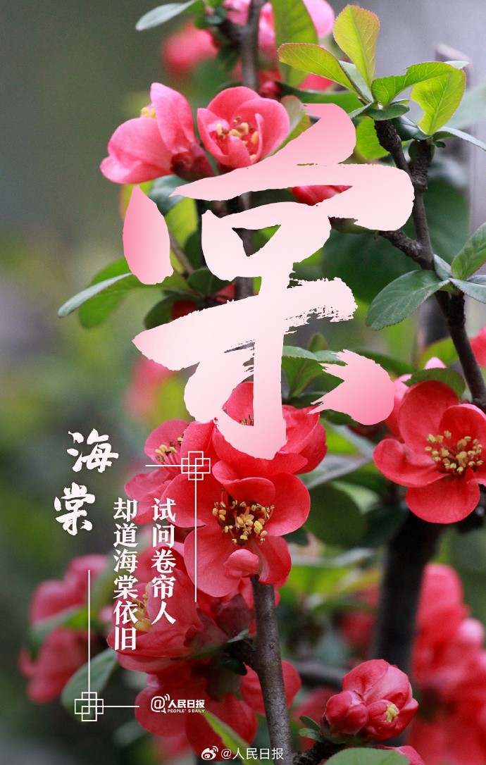 收藏美好！當漢字與春天不期而遇