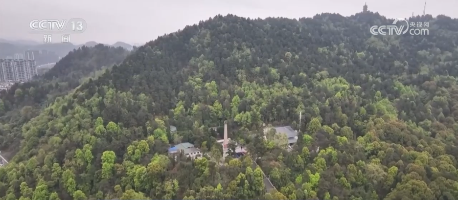 在追思中奮進，在傳承中成長！各地積極開展主題文化活動緬懷革命先烈