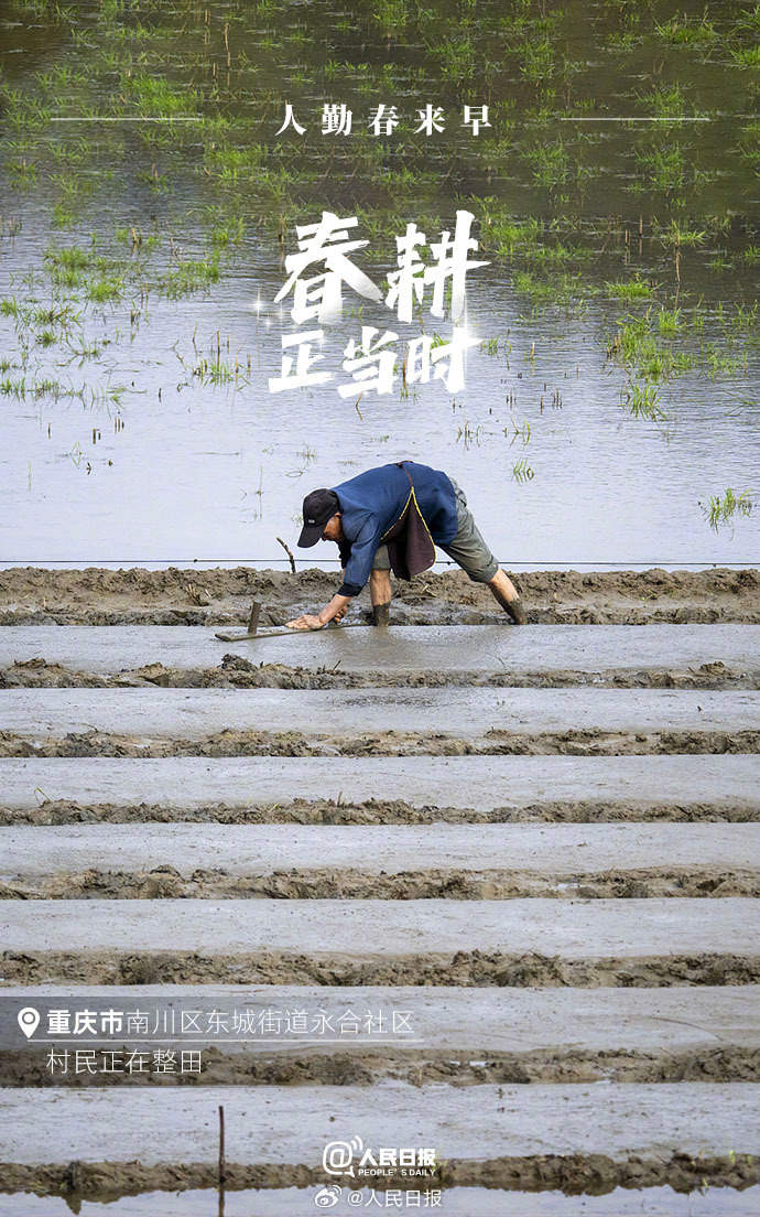 不負春光！各地陸續進入春耕時節