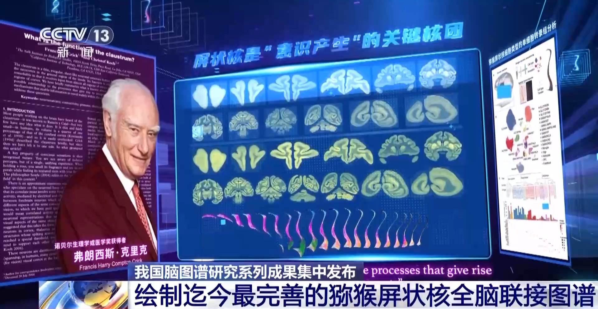 中國腦圖譜研究系列成果集中發佈 珍貴數據供國內外學者研究