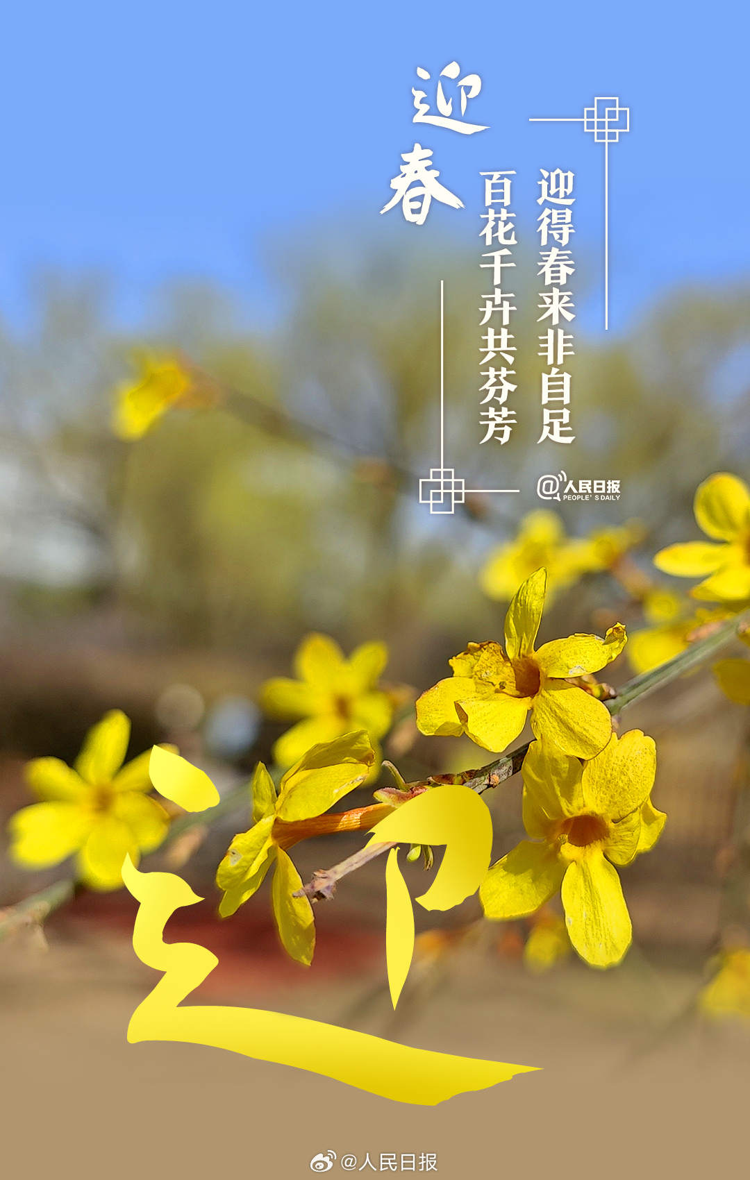 收藏美好！當漢字與春天不期而遇