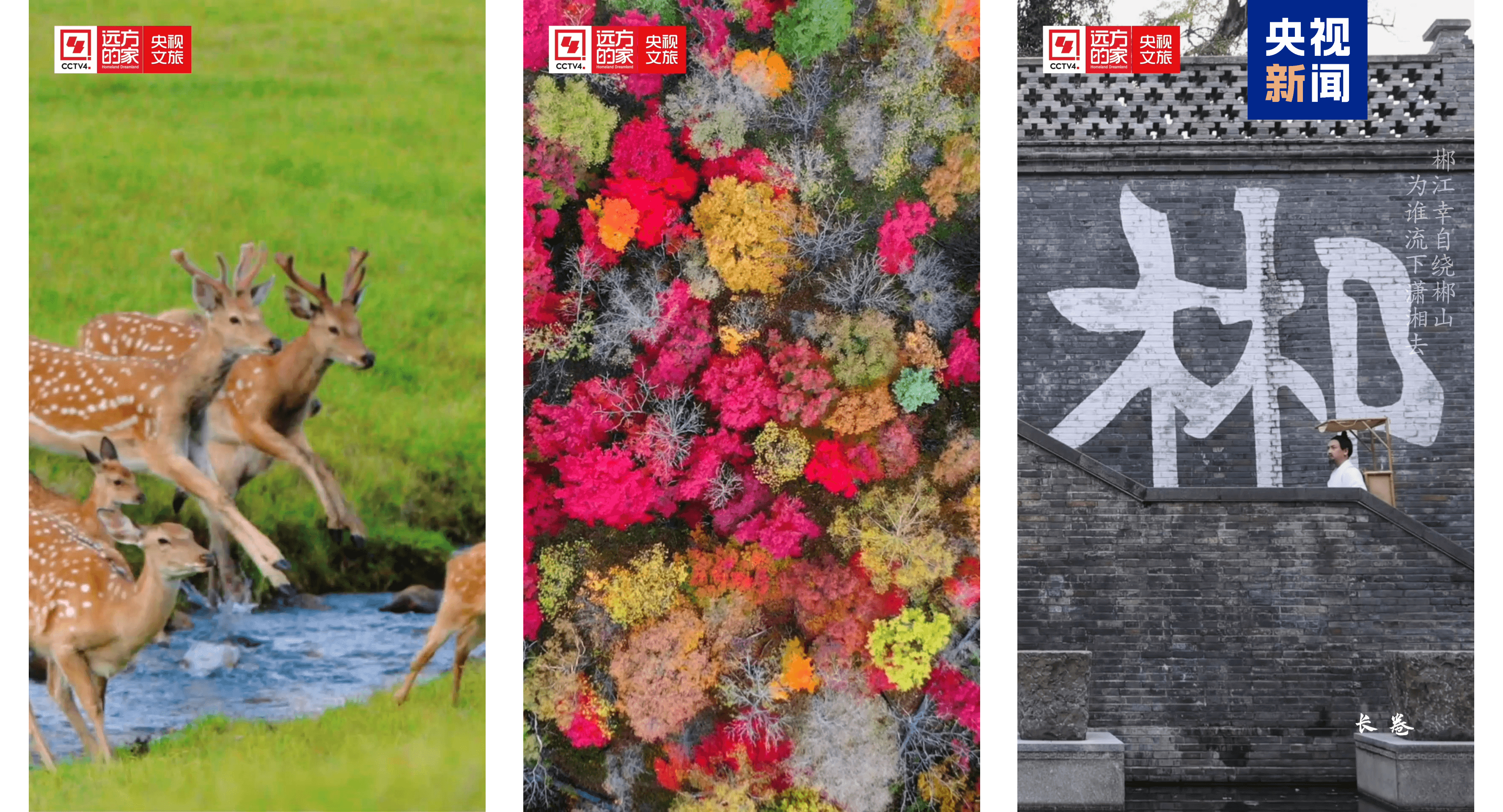 等你來“遼”！《中國文旅大聯歡》攜手30城精彩上線