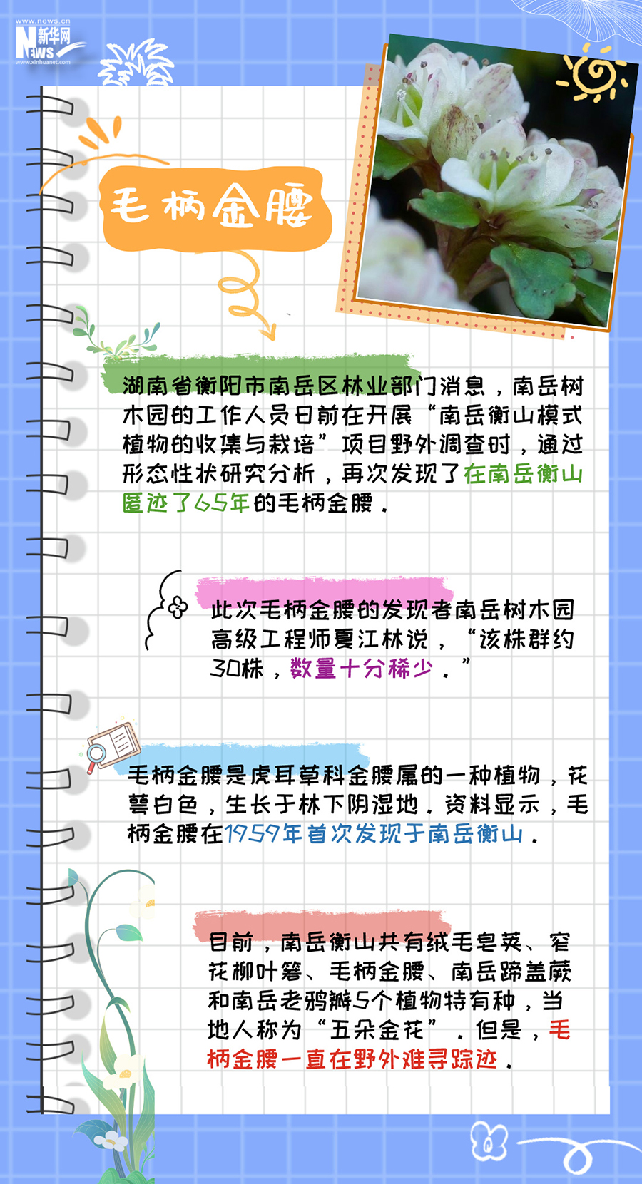 這本植物手冊裏藏的都是“限量款”