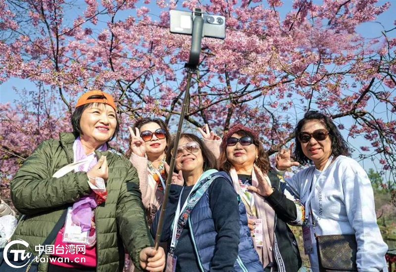 台灣旅遊從業者“打卡”東湖櫻花園 將動員更多同胞來湖北遊玩