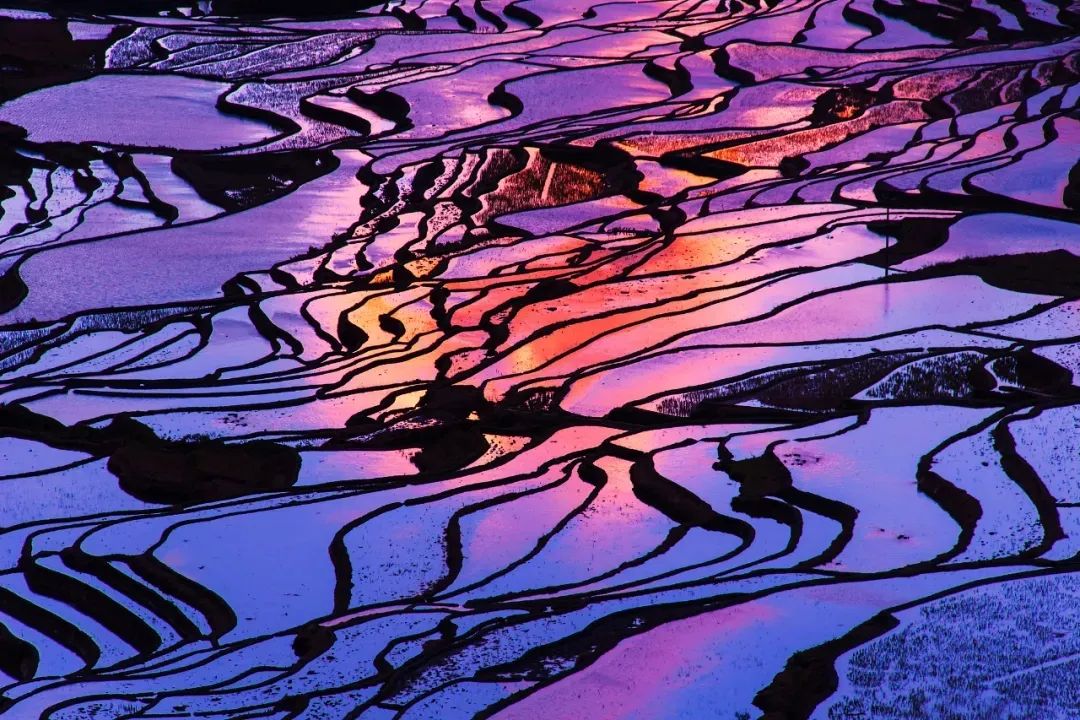 總要去一趟雲南吧! 總要去一趟雲南吧!