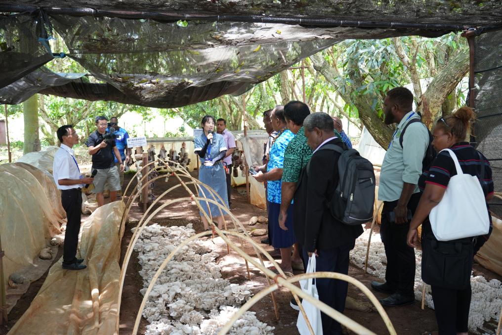 讀懂中國式現代化的鑰匙——《習近平談治國理政》第五卷出版發行激發世界迴響