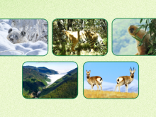 首批5個國家公園全部完成確權登記