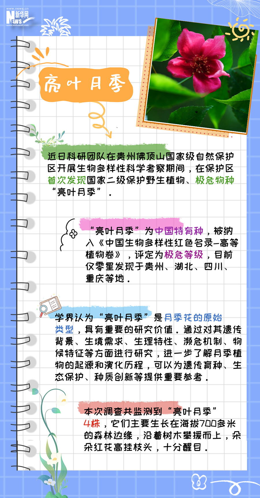 這本植物手冊裏藏的都是“限量款”