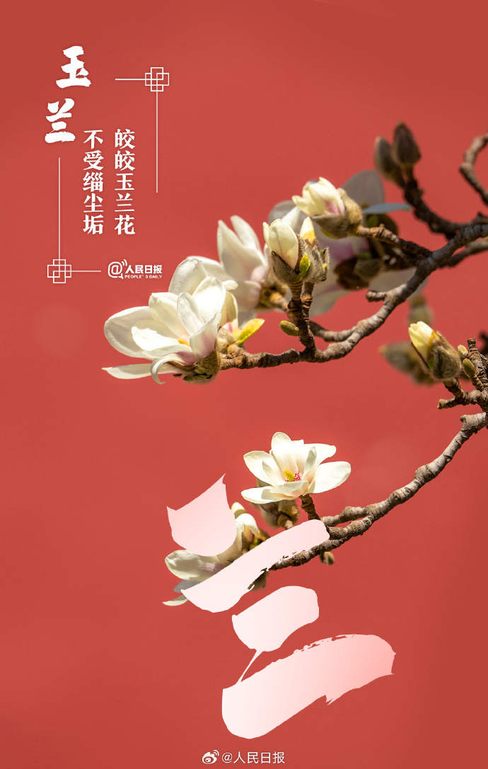 收藏美好！當漢字與春天不期而遇