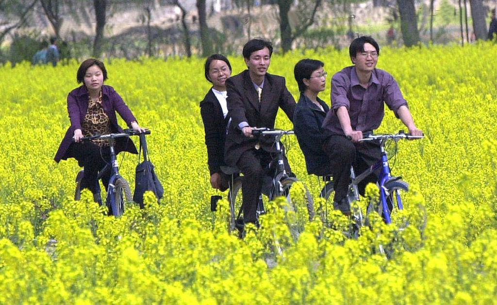 歲月回眸：春山可望，倘能從我遊乎？