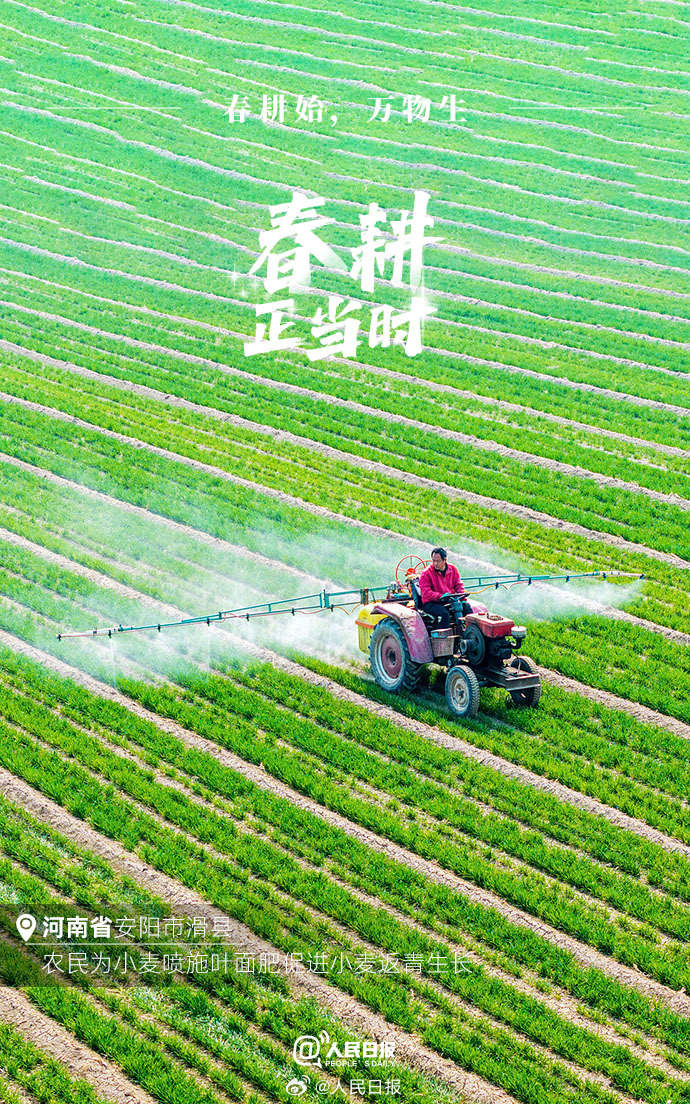 不負春光！各地陸續進入春耕時節