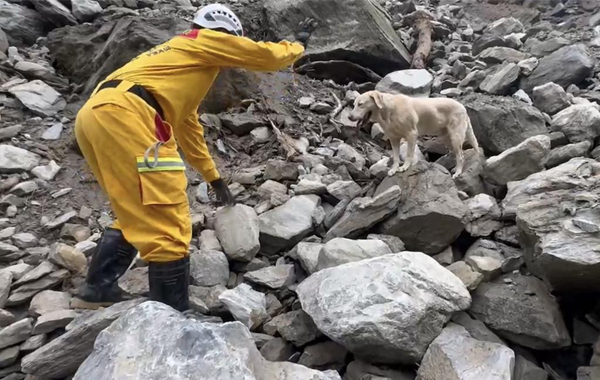 花蓮地震已致13人遇難 74個小時余震破600次