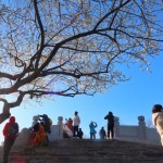 北京：頤和園春色漸濃