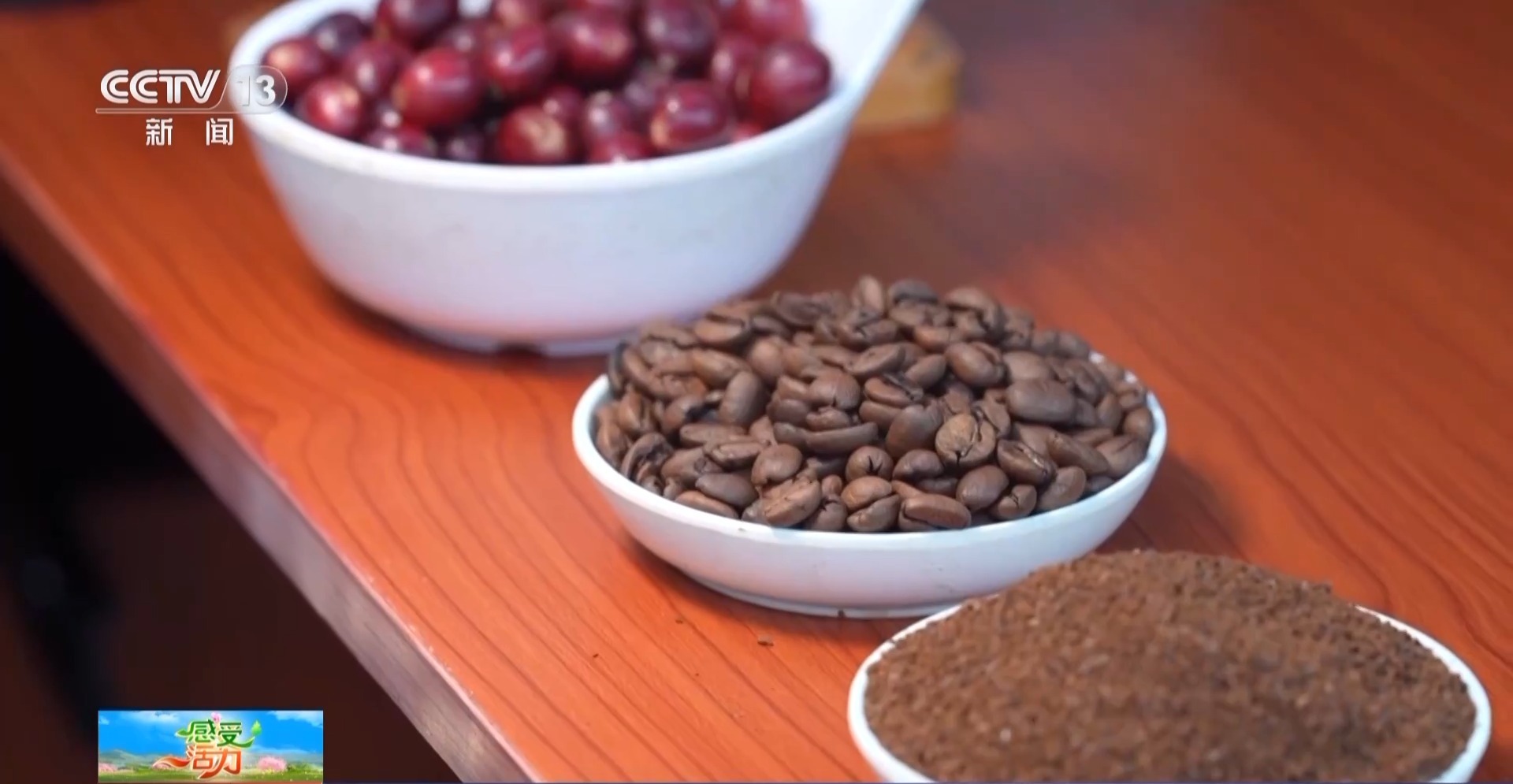 好喝好玩好美！總臺主播來到雲南 見了一位“大咖”……