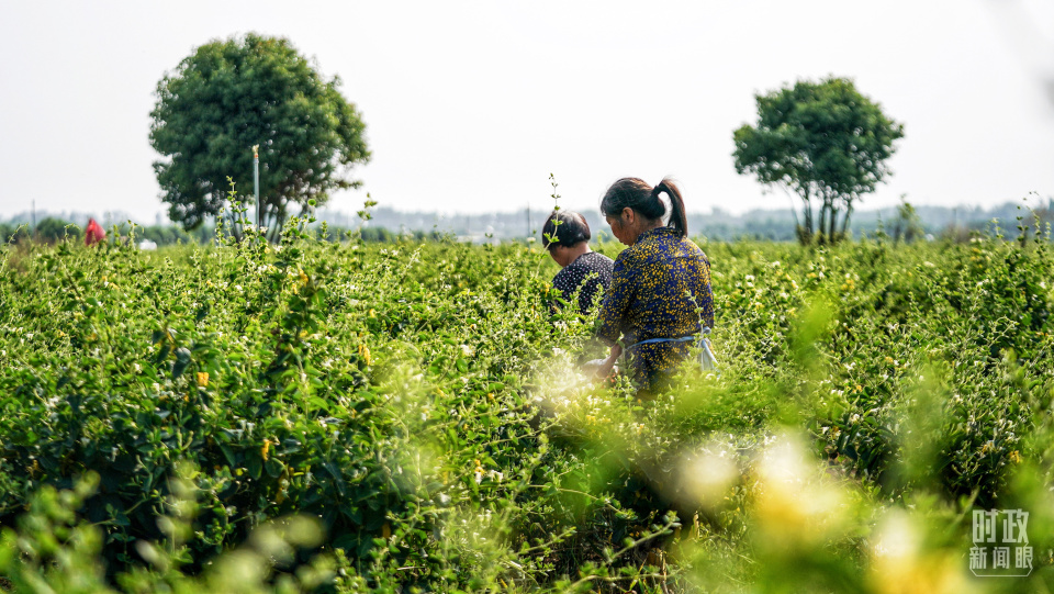時政新聞眼丨再赴河南考察，習近平為何強調這兩個關鍵詞？