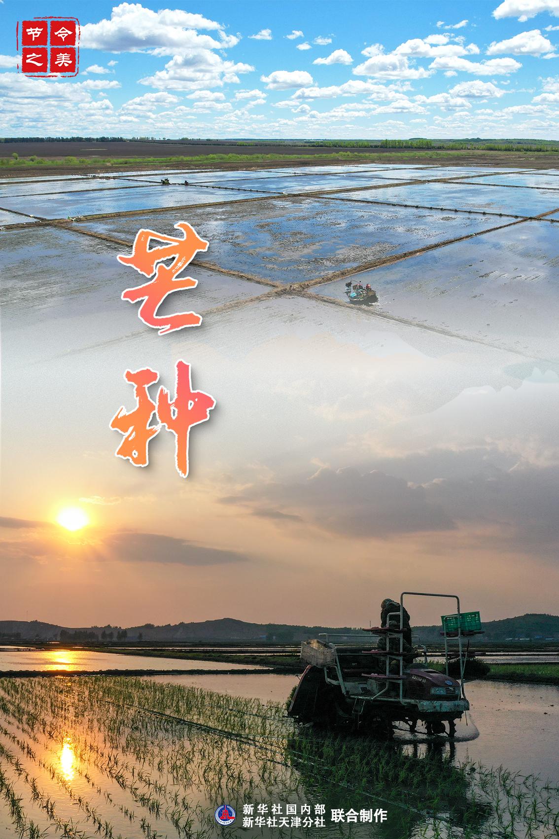 節令之美·芒種｜孟夏將盡 仲夏登場