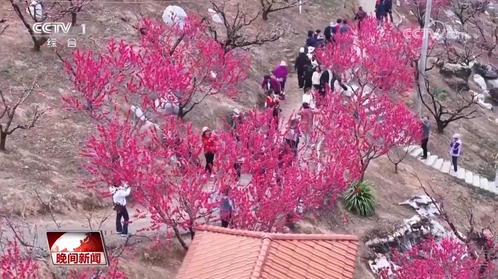 享受春日美景、品嘗“頭春”味道……“春日經濟”活力旺
