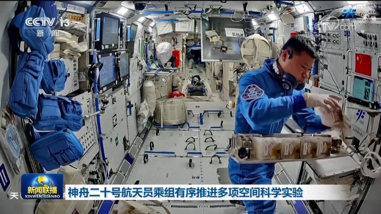 神舟二十號航天員乘組有序推進多項空間科學實驗 神舟二十號航天員乘組有序推進多項空間科學實驗