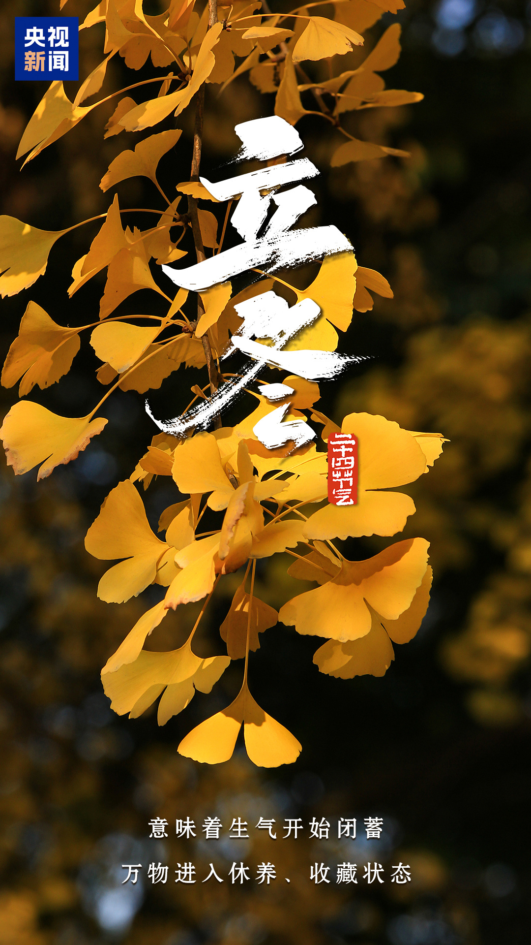 今日立冬，順祝冬安！