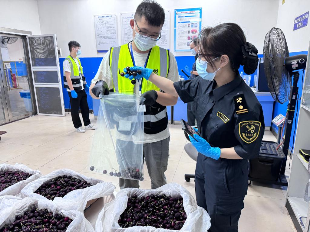 海陸空口岸“進出”忙 外貿展現勃勃生機