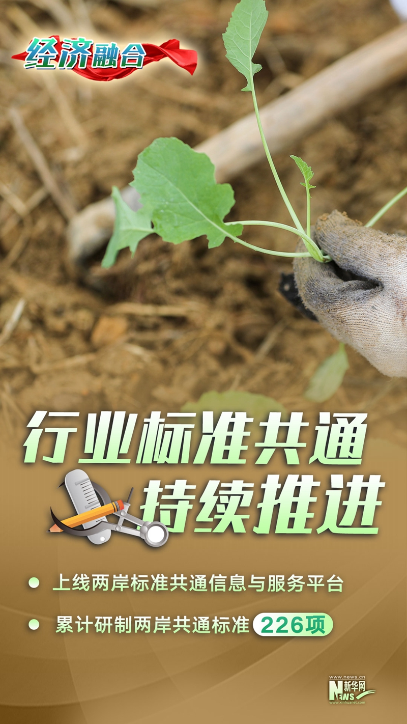 海報組圖：這一年，福建探索兩岸融合發展新路碩果纍纍