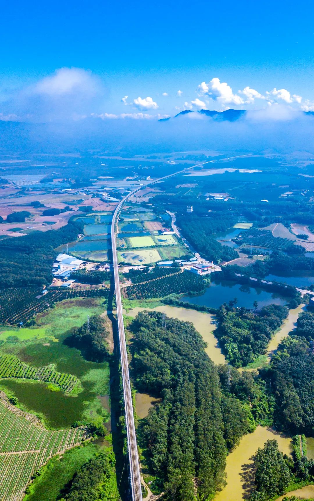 總要去一趟雲南吧! 總要去一趟雲南吧!