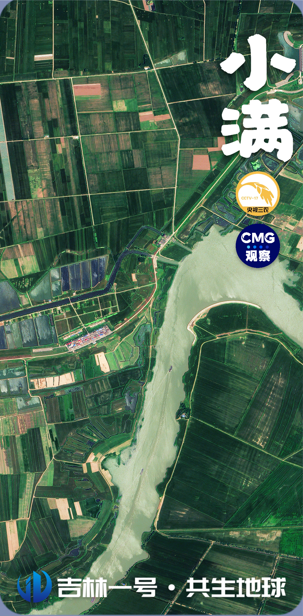 小滿小滿，麥粒漸滿！衛星視角見證全國各地小麥成熟