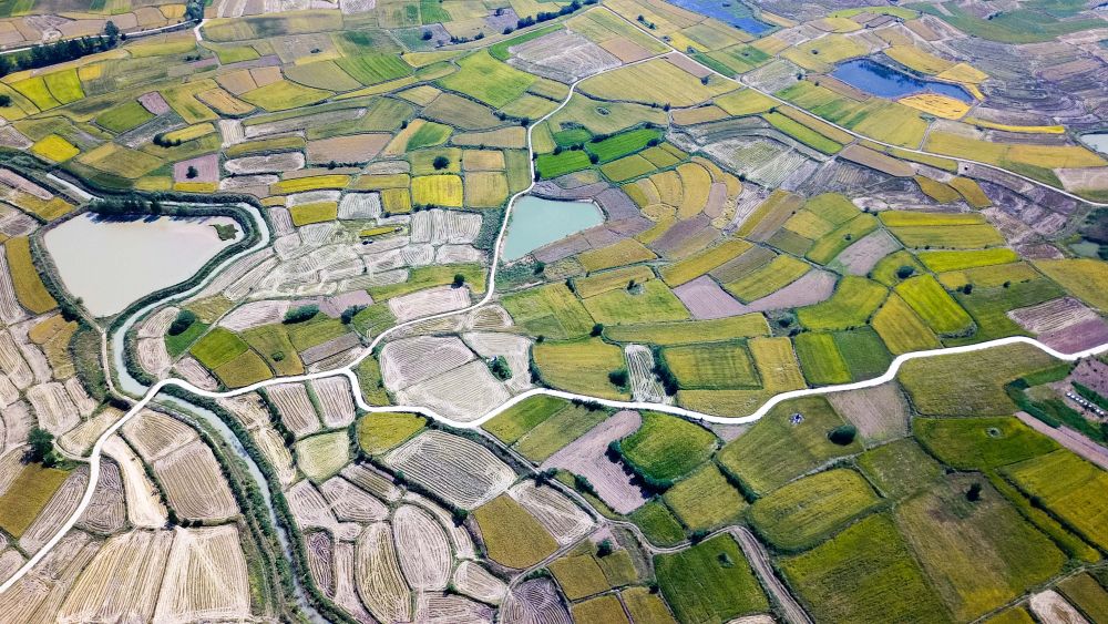 強國建設、民族復興的必由之路——以習近平同志為核心的黨中央引領新時代改革開放紀實