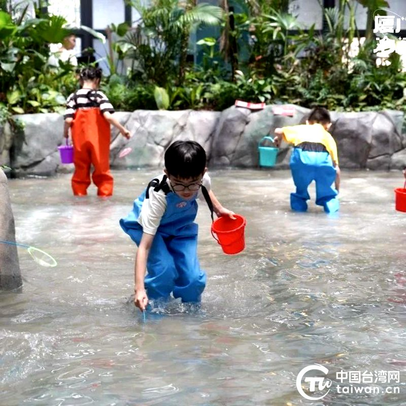 “廈金童樂 艾香傳情”2025年兩岸金胞親子研學營在海滄成功舉辦