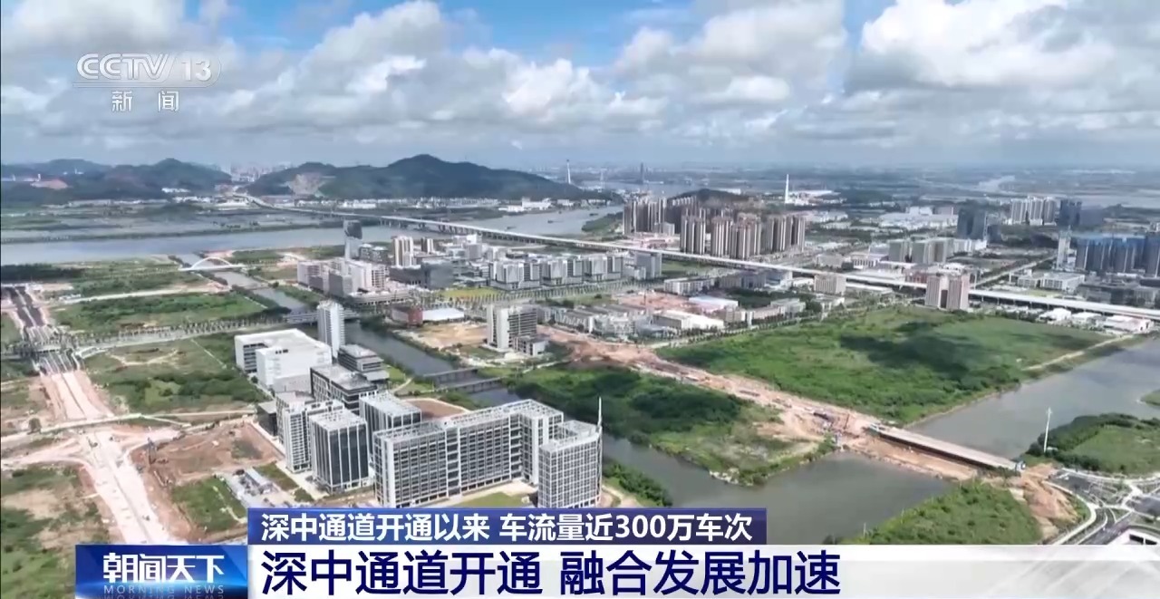 每單貨運輸成本降20%左右 深中通道助力物流降本增效