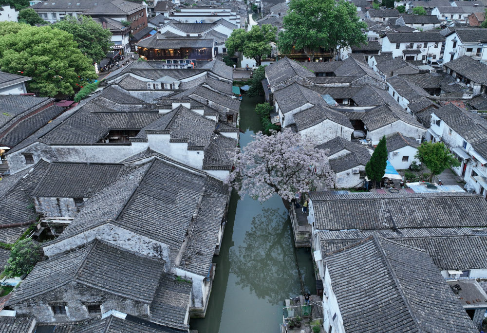 留住煙火味 激發新活力——看紹興倉橋直街保護傳承