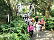 台灣青年走進抗戰勝地懷化市龍潭鎮 台灣青年走進抗戰勝地懷化市龍潭鎮