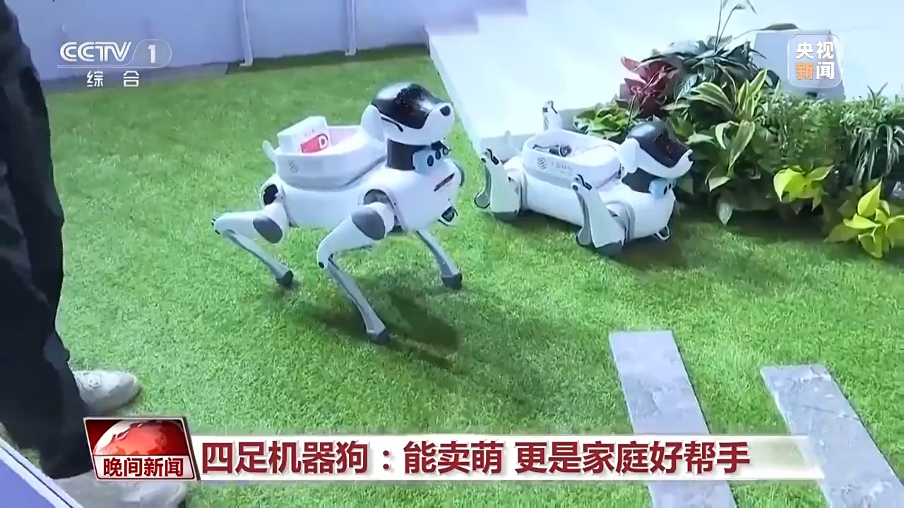 炒菜機器人、賣萌機器狗 這屆消博會有點意思! 炒菜機器人、賣萌機器狗 這屆消博會有點意思!