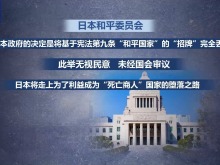 日本各界反對政府解禁殺傷性武器出口