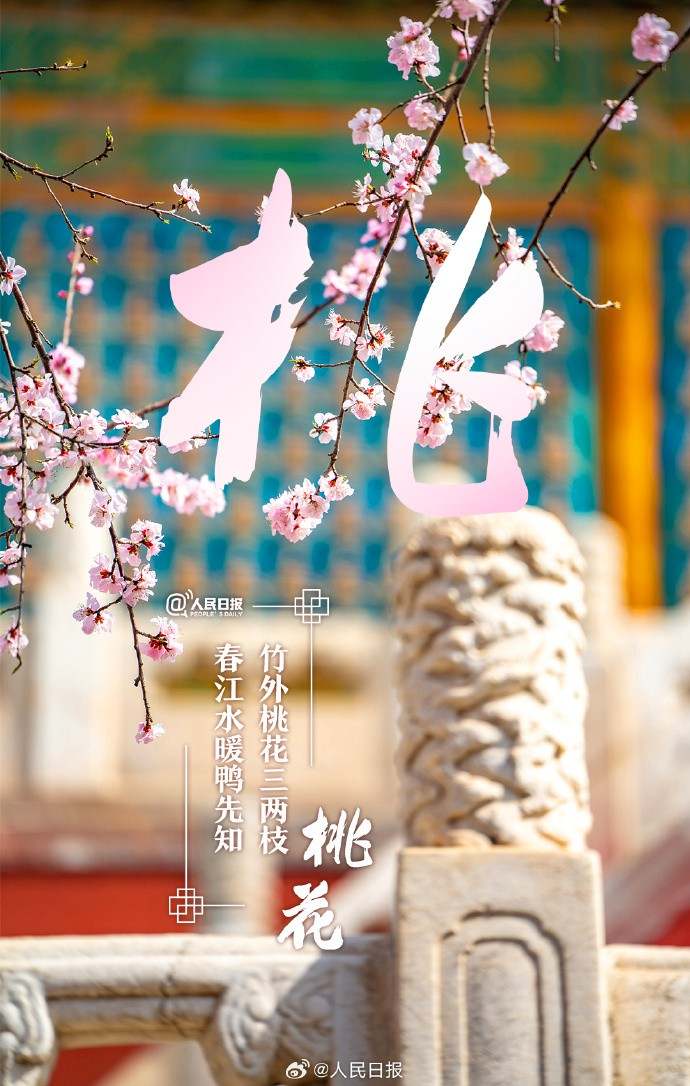收藏美好！當漢字與春天不期而遇