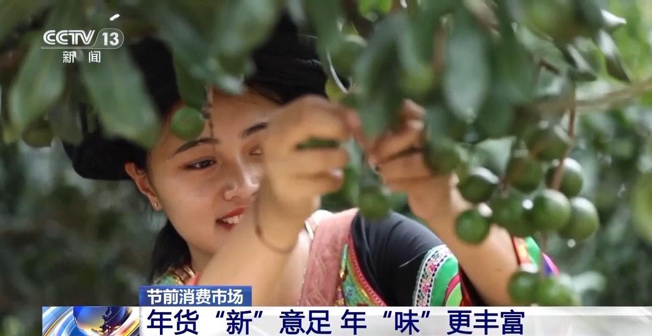 南貨北上 年貨“新”意足 年味更豐富 南貨北上 年貨“新”意足 年味更豐富