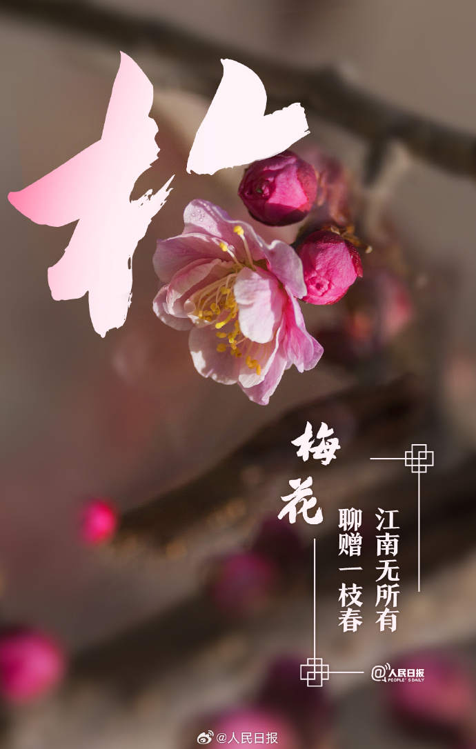 收藏美好！當漢字與春天不期而遇