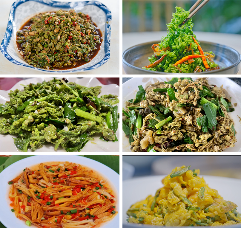 總要去一趟雲南吧! 總要去一趟雲南吧!