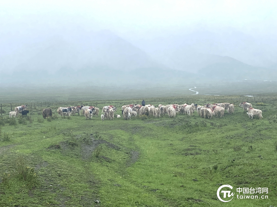 兩岸同胞同懷家國夢 各民族共畫同心圓——隴原大地奏響多民族融合發展之歌