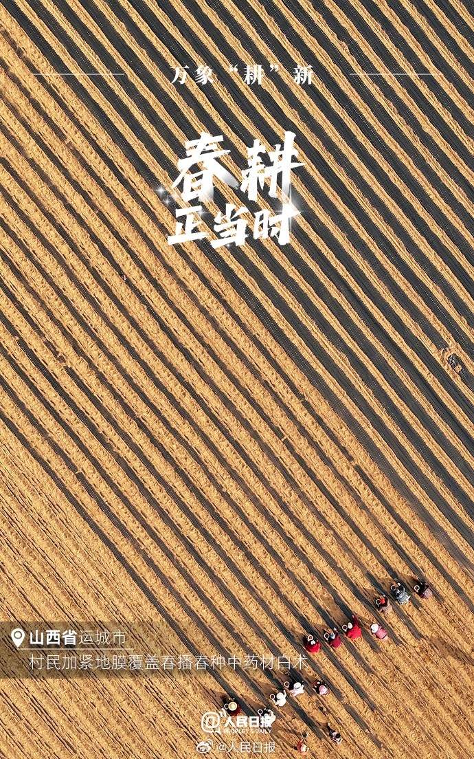 不負春光！各地陸續進入春耕時節