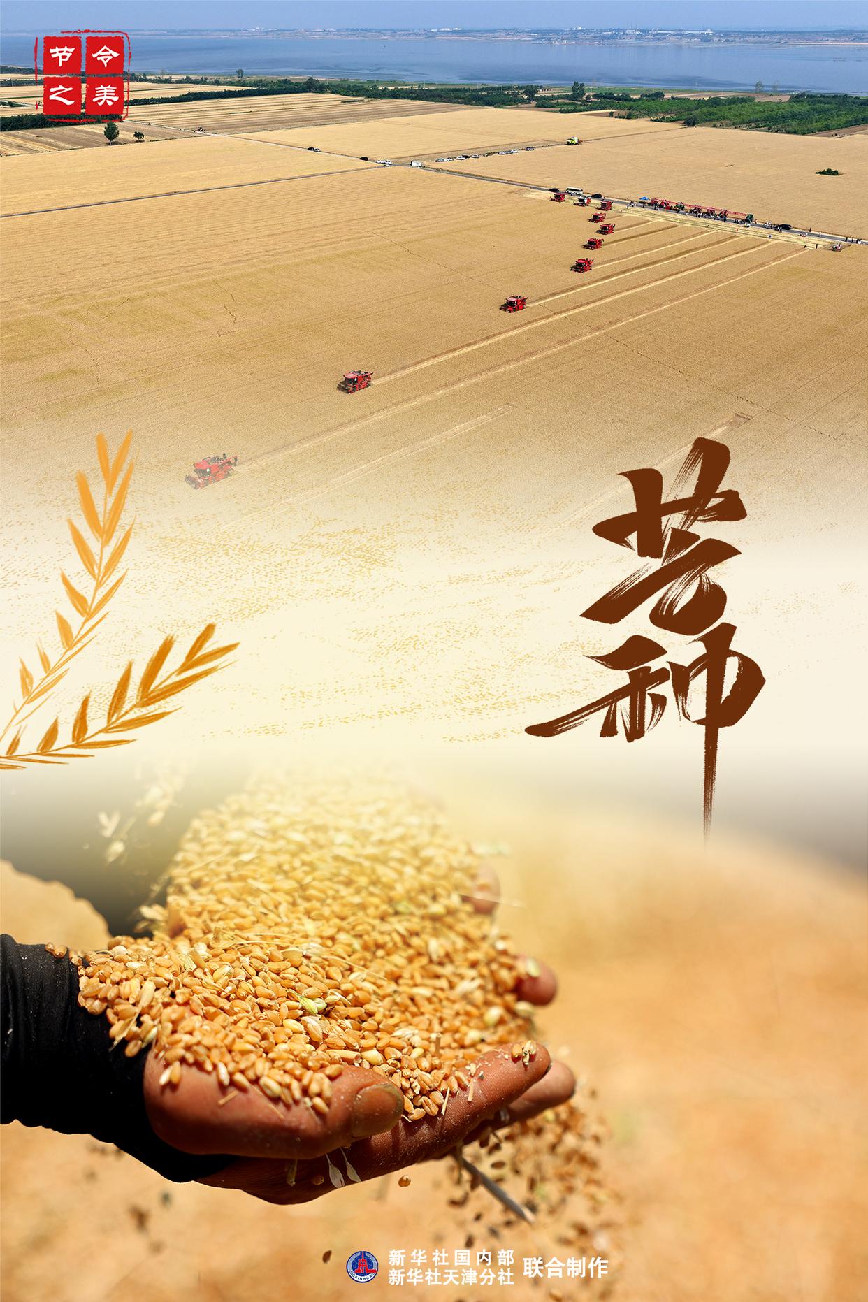 節令之美·芒種｜孟夏將盡 仲夏登場