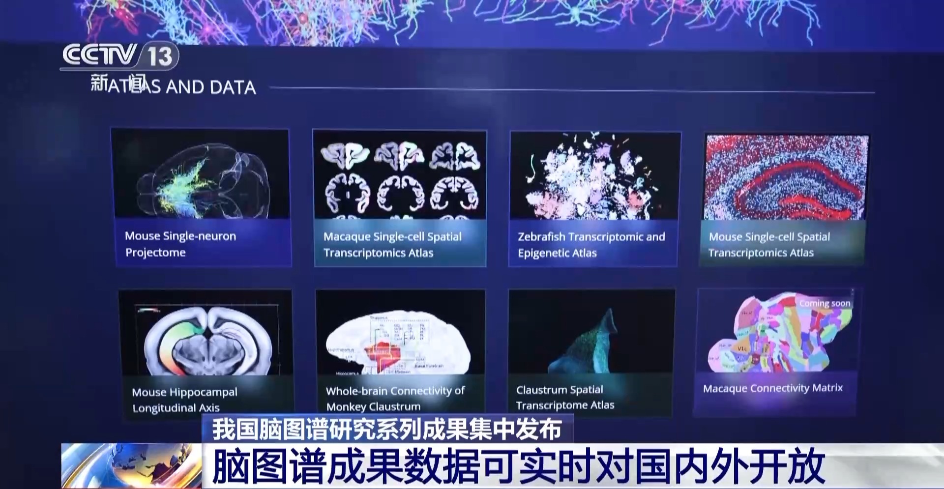中國腦圖譜研究系列成果集中發佈 珍貴數據供國內外學者研究