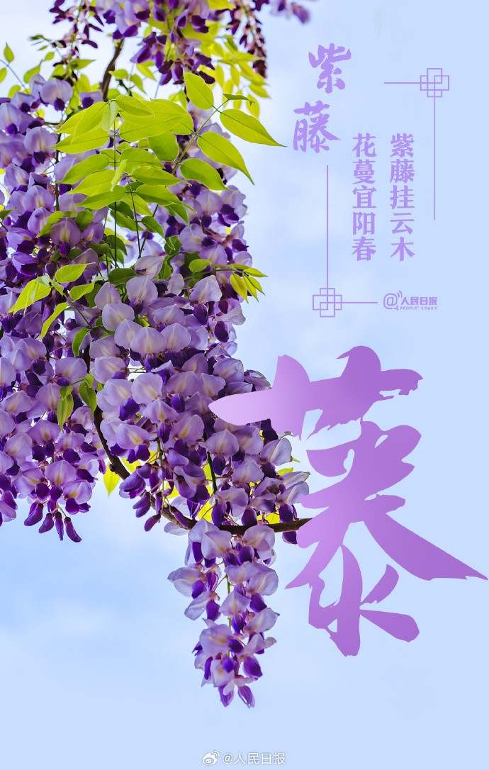 收藏美好！當漢字與春天不期而遇